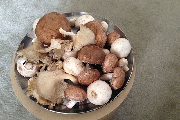 Μοσχαράκι με μανιτάρια για τα πρωτοβρόχια