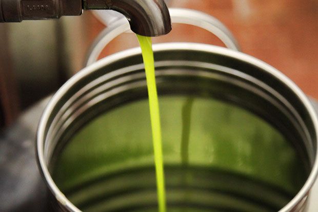 Να φιλτράρουμε τώρα ή αργότερα το ελαιόλαδο;