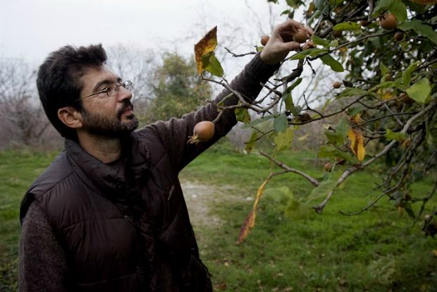 Ένα μυστήριο μούσμουλο