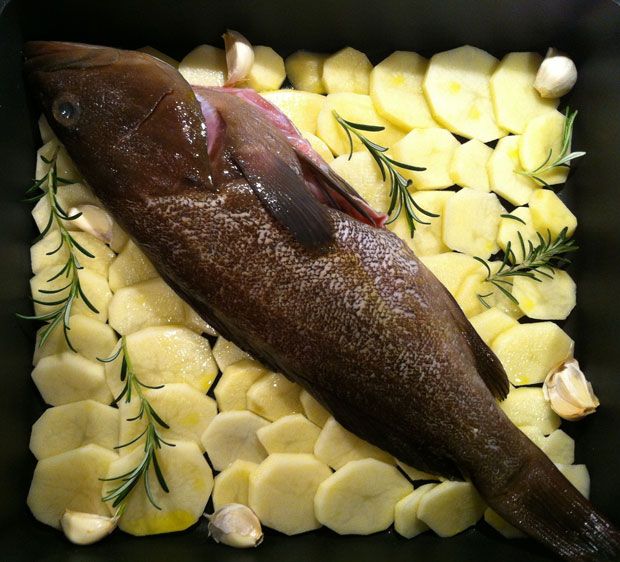 Ένα ψάρι καταδικασμένο να πετύχει!