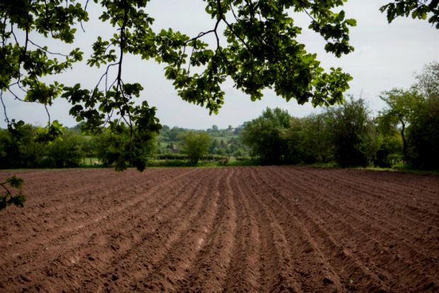 “Νέοι αγρότες”: αποφάσεις για ουσιώδη στήριξη;