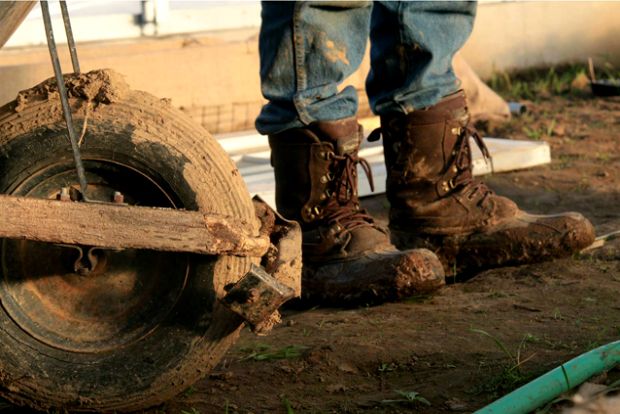Νέοι αγρότες οργανώνονται