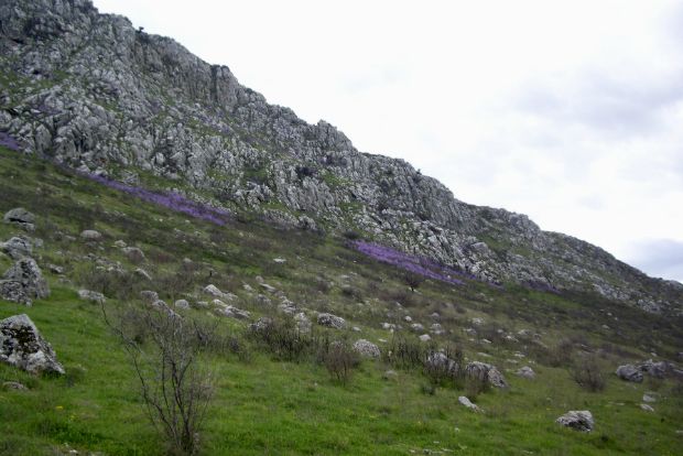 Άνοιξη-έμπα-μέσα-μου