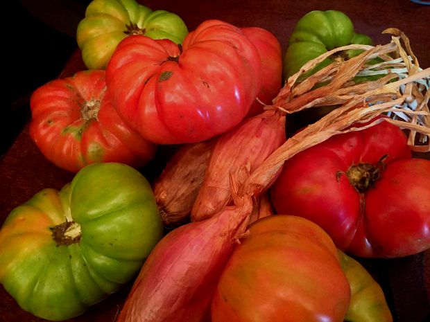 Ντομάτα και κρεμμύδι Μεταμόρφωσης: μια σπουδαία μάζωξη