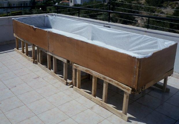 Άντυ, έλα να φτιάξουμε μποστάνι!