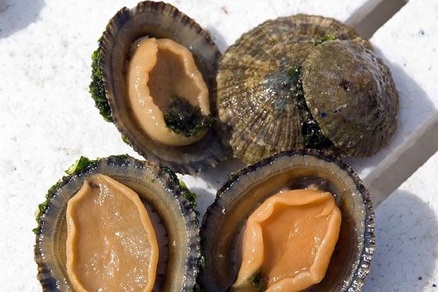 Ο αιφνιδιασμός της πεταλίδας