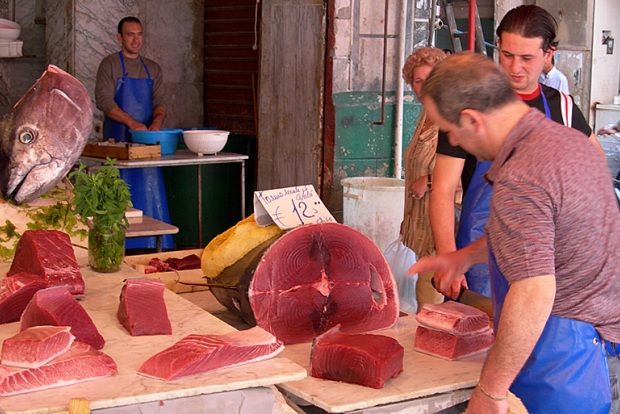 Ο Αριστοτέλης, ο Αθήναιος, ο Τόνος, και…