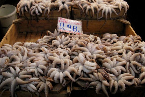 Ο ΕΦΕΤ ενημερώνει: διαλέγουμε σαρακοστιανά