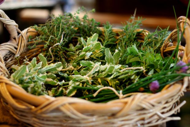 Ο Γερμανός θέλει τη ρίγανή του