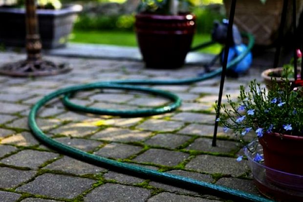 Ο κήπος μου κι εγώ