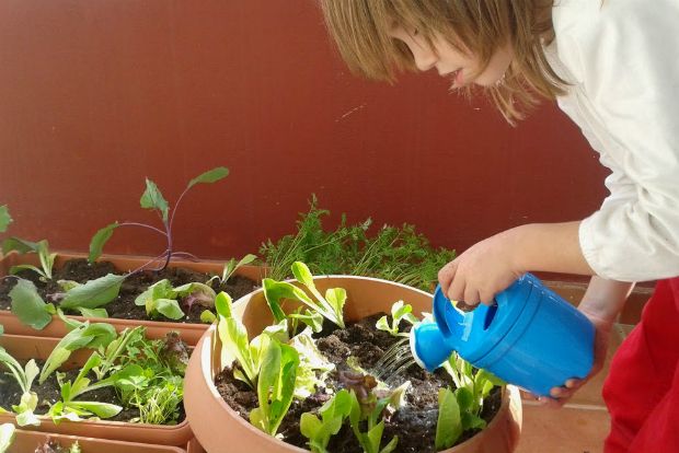 Ο λαχανόκηπος της μικρής Νικίτα