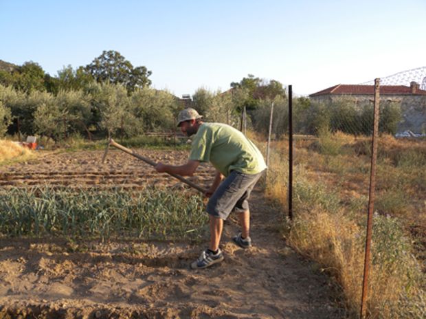 Ο μποστανίστα