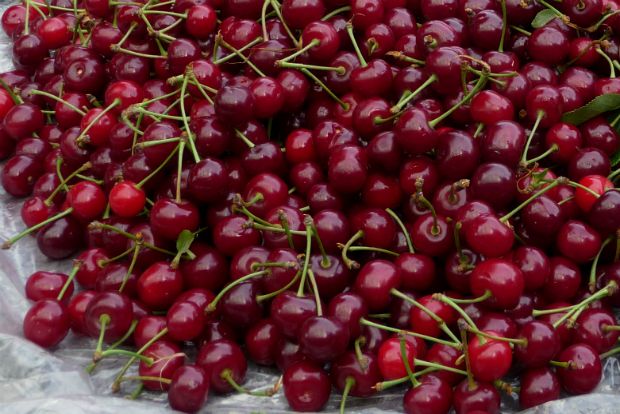 Ο νόμος των φρούτων