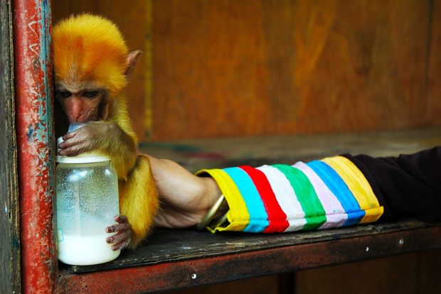 Ο πλανήτης στο πιάτο