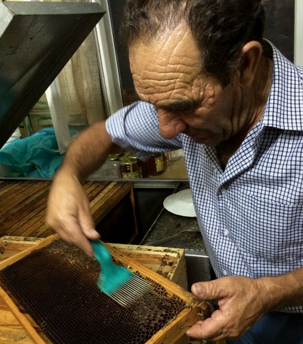 Ο θείος μου ο μελισσοκόμος