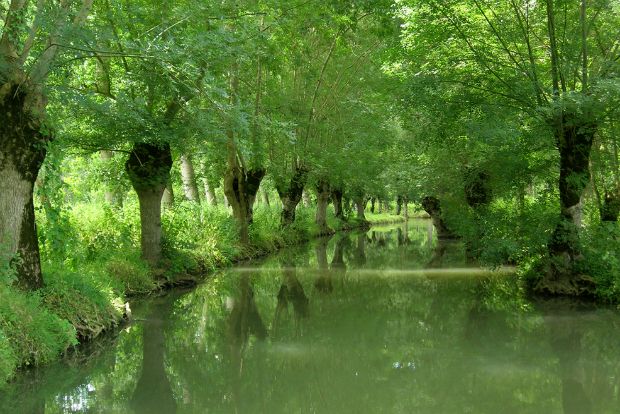 Ο ξένος που με μύησε στα μύδια