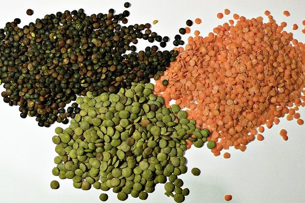 Ωδή στις φακές: Γιατί πρέπει να τις τρώμε κάθε μέρα