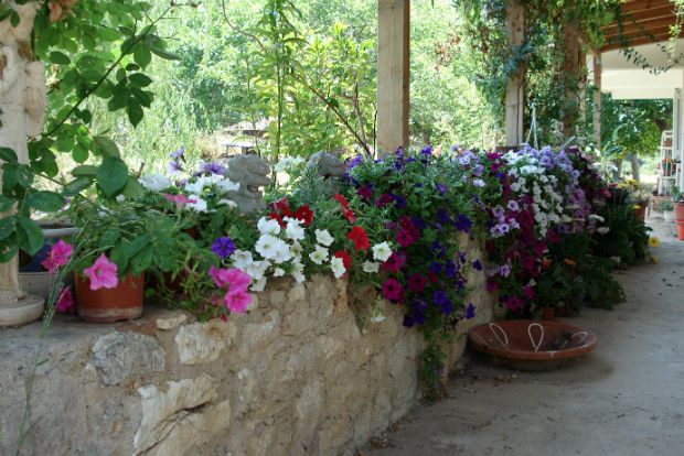 Οι 6 που πήραν τα βουνά