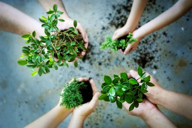 Οι απανταχού bostanistas γιορτάζουν