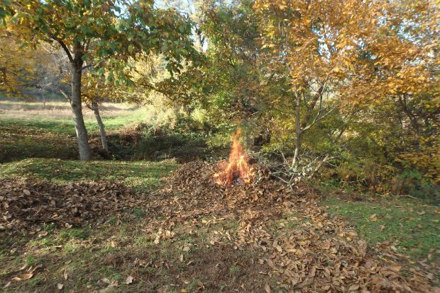 Οι φωτιές του Νοέμβρη στα χωράφια