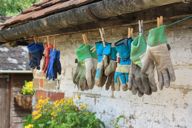 Οι γιάπηδες bostanistas