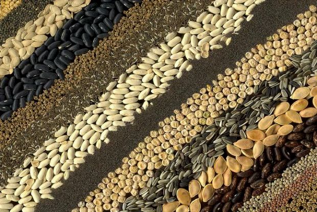 Οι σπόροι τον καιρό της Κρίσης