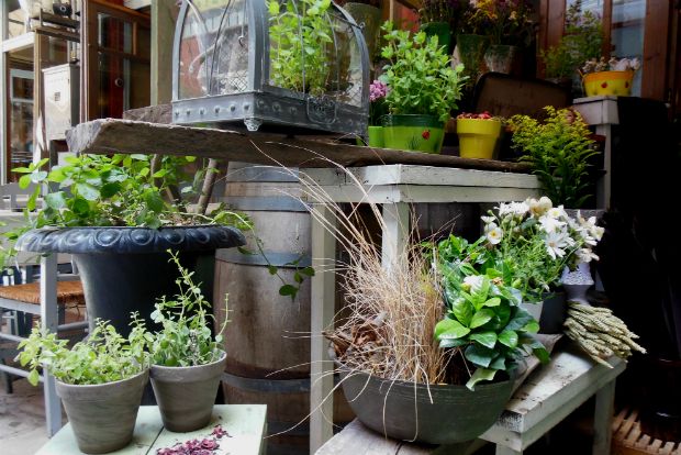 Οι θησαυροί των σκουπιδιών