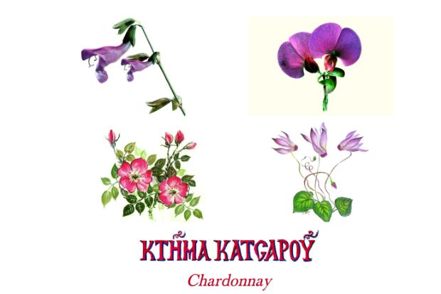 Ολύμπια ανθοδέσμη στην κάβα μας