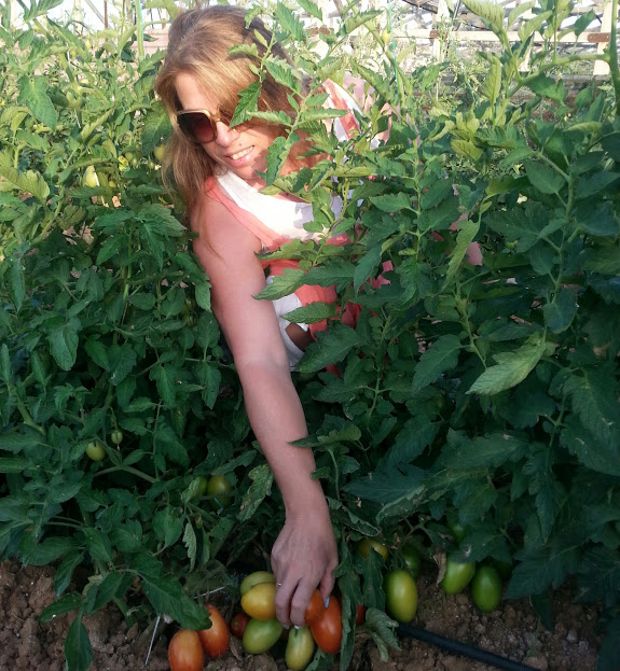 Ομελέτα φούρνου για λίγο καλοκαίρι ακόμα