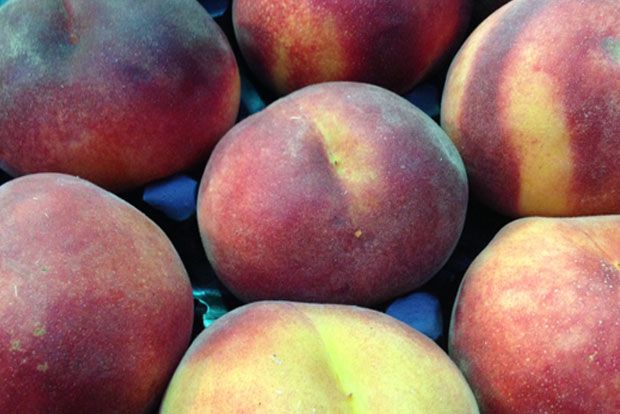 Παγωτό ροδάκινο, για πριν και για μετά