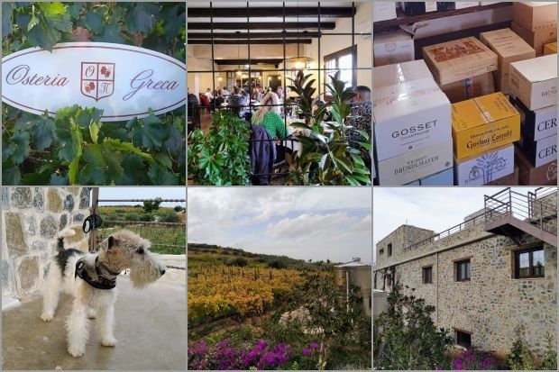 Παστός μπακαλιάρος με χόρτα