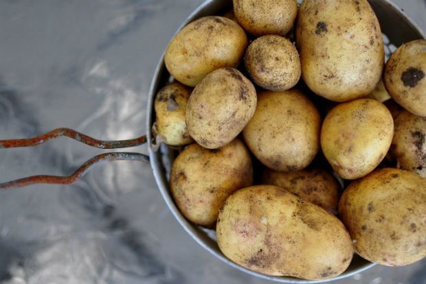 Πατάτες από σπίτι: ώρα να φυτέψουμε!