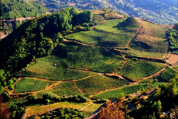 Ήπειρος: να την πιεις στο ποτήρι