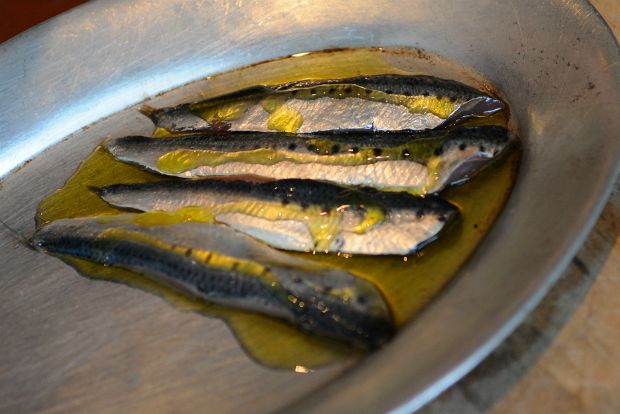 Πέντε αστέρια: μεζέδες της ελληνικής θάλασσας