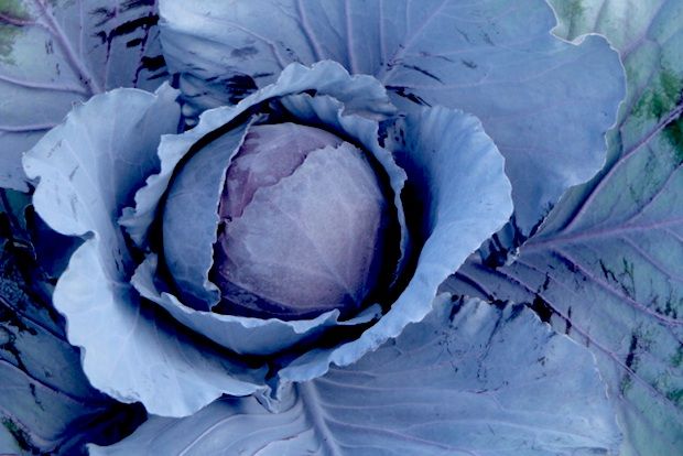 Πέντε αστέρια: όλα σπιτικά!