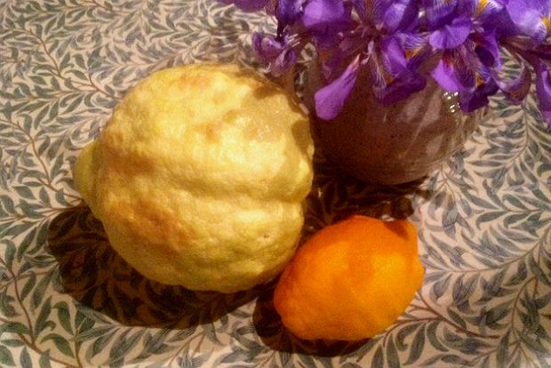 Περγαμόντο μυρωδάτο: κίτρινο ή πορτοκαλί;