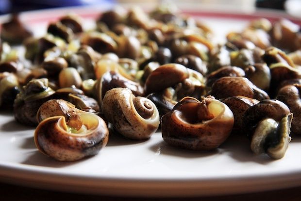 Περί χοχλιών και άλλων δαιμονίων