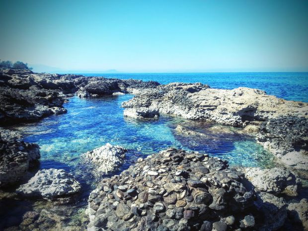 Πεταλίδες με το ρύζι, συνταγή σαν παραμύθι