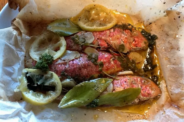 Πετρομπάρμπουνα στο χαρτί