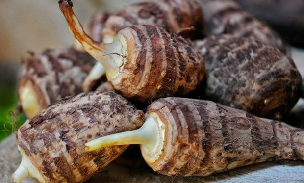 Πικάντικο ψητό καλαμάρι με κολοκάσι