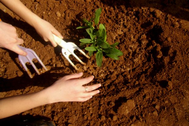 Ποιος χαχανίζει στη Γλυφάδα;