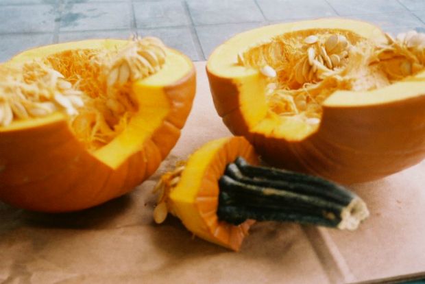 Πώς αποθηκεύω σπόρους κολοκύθας;