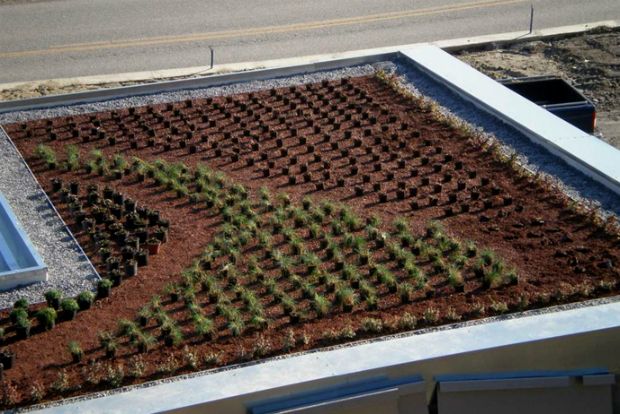 Πράσινα δώματα και ταρατσόκηποι