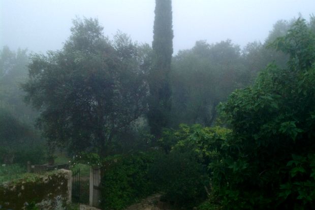 Πριν τον Νοέμβριο: η μοναδική ατμόσφαιρα του κήπου