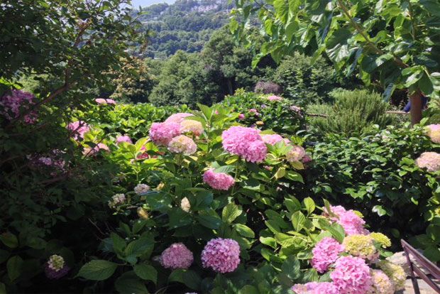 Πρωϊνό με απίθανες λιχουδιές στην Αμανίτα