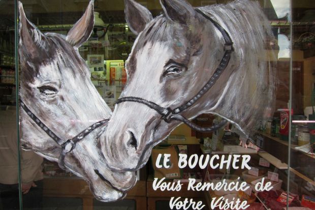 Προς τι ο σάλος για τα άλογα;