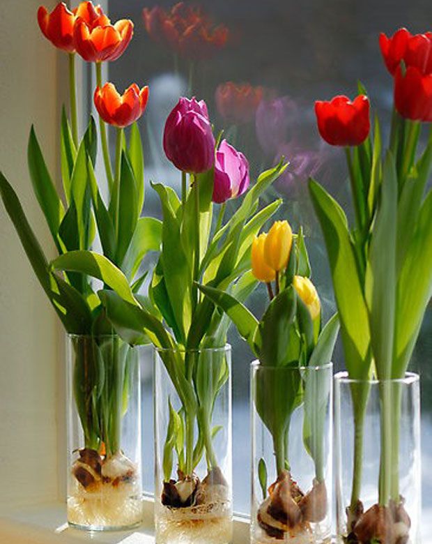 Πρωτοχρονιάτικα δώρα για bostanistas της πόλης