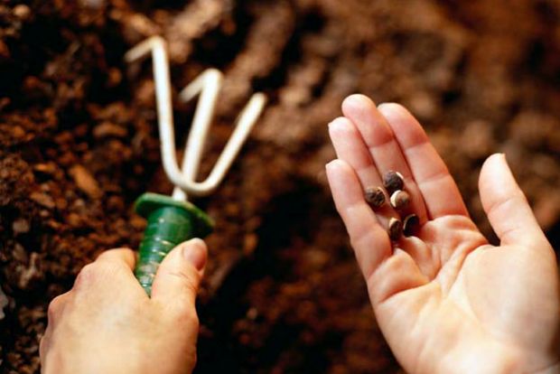 Ψηφίζουμε με τις μπουκιές μας