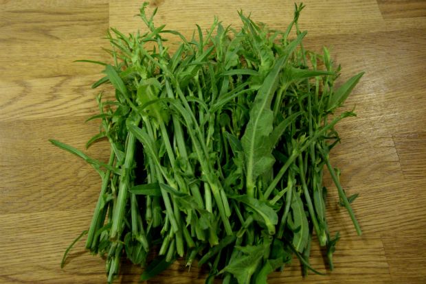 Ραδικοβλάσταρα: μια υπόθεση αντρική