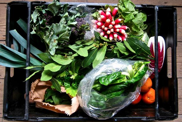 Έρχεται ο θείος από το χωριό